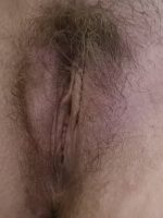 Wife’s hairy pussy